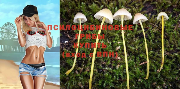 гидра Сафоново