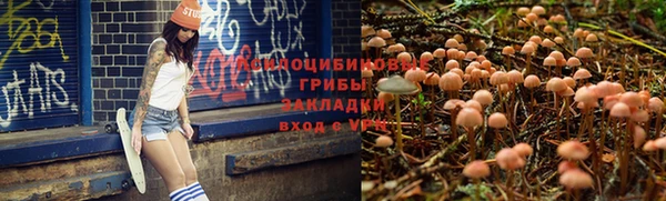 круглые Абаза