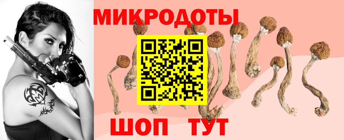 Алатырь  Галлюциногенные грибы Psilocybine cubensis  Псилоцибиновые грибы GOLDEN TEACHER  цена наркотик  Вход с VPN 